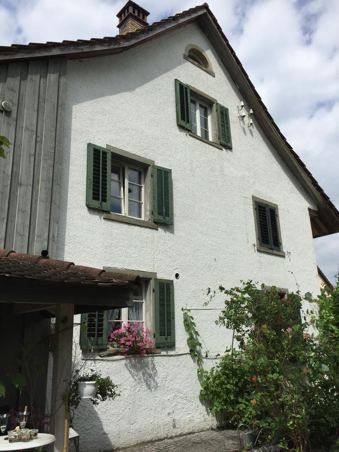Airport Zuerich Elwiras B & B Lufingen Exterior photo