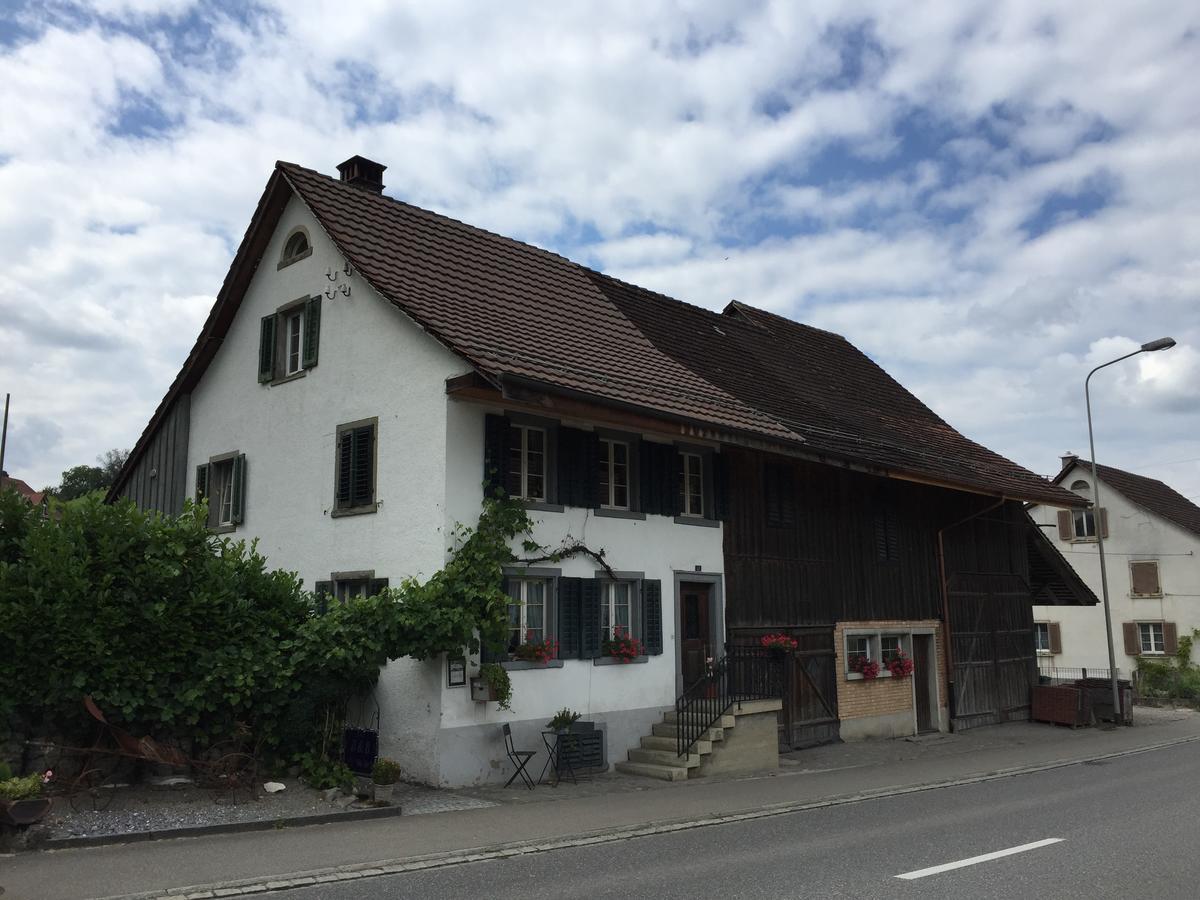 Airport Zuerich Elwiras B & B Lufingen Exterior photo